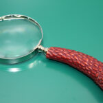 Boynuz Pirinç Büyüteç Model 4