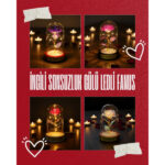 İncili Sonsuzluk Gülü Ledli Fanus