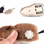 Kurmalı Fare Kedi Eğitim Oyuncağı