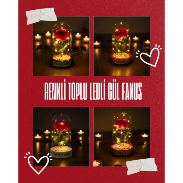 Renkli Toplu Ledli Gül Fanus