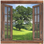 Yapışkanlı Çift Kanat Sineklik