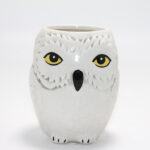 Harry Potter Hedwig Tasarım Porselen Kupa Bardak